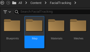 facialtracking_play_2